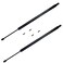 SCHNORKEL 2Pcs 2856 In Rear Back Lift Supports Compatible With HONDA 20052007 ODYSSEY liftgate tailgate Hatch trunk Struts without Power Liftgate 05 06 07