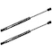 WEDOAUTO Qty2 Lift Support Strut Damper Shock Fits Chevrolet Captiva Sport 20082009 20112015Saturn Vue 20082010 Rear Trunk Tailgate 6243 13191439