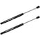 WEDOAUTO Qty2 Lift Support Strut Damper Shock Fits Chevrolet Captiva Sport 20082009 20112015Saturn Vue 20082010 Rear Trunk Tailgate 6243 13191439
