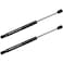 WEDOAUTO Qty2 Lift Support Strut Damper Shock Fits Chevrolet Captiva Sport 20082009 20112015Saturn Vue 20082010 Rear Trunk Tailgate 6243 13191439