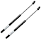 QiMox Hood Lift Supports Compatible with Hyundai Sonata 20182019 Front Struts