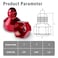 BLACKHORSE-RACING BLACKHORSERACING Female AN10 to AN6 Male Flare Reducer Hose Fitting Adapter 2PCS Red