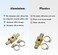 CNRAQR 38 Fuel Line Fuel TFitting Adapter Includes Clamps