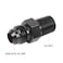 EVIL ENERGY 6AN Male Flare to 14 NPT Pipe Fitting Adapter Straight Aluminum Black