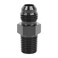 EVIL ENERGY 6AN Male Flare to 14 NPT Pipe Fitting Adapter Straight Aluminum Black