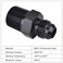 EVIL ENERGY 6AN Male Flare to 38 NPT Pipe Fitting Adapter Aluminum Straight Black 4PCS