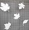 DCentral Falling Leaves Flexible Vinyl Screen Magnets DoubleSided Safety WhiteEasier to See Day Night Helps to Stop Walking into Screens for NonRETRACTABLES Size Varies by Leaf Avg 4 x 4