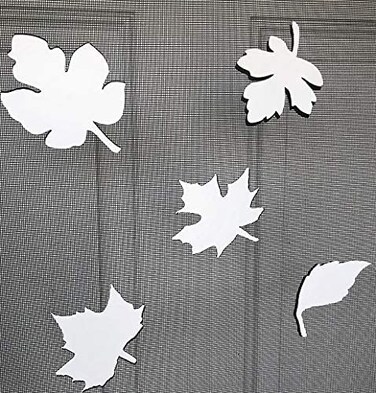 DCentral Falling Leaves Flexible Vinyl Screen Magnets DoubleSided Safety WhiteEasier to See Day Night Helps to Stop Walking into Screens for NonRETRACTABLES Size Varies by Leaf Avg 4 x 4