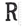 BetLight House Address Letters 3 Inch High Innovative Wrought Iron Numbers Vintage Nail on Die Cast Mailbox LettersLetter R