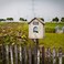 BetLight House Numbers 3 Inch Innovative Wrought Iron Vintage Nailon Die Cast Mailbox Number 7