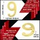 ZhongWang Hardware ZW Hardware A200 6 Inch Brass Bright Brass House Number 9