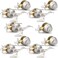 Probrico 5 SetsKeyed Alike Entry Door Levers with Single Cylinder Deadbolts Keyed Handleset for Front Door Exterior and Interior Hardware Entry Lockset Lever Set Satin Nickel Contractor Pack