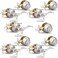 Probrico 5 SetsKeyed Alike Entry Door Levers with Single Cylinder Deadbolts Keyed Handleset for Front Door Exterior and Interior Hardware Entry Lockset Lever Set Satin Nickel Contractor Pack