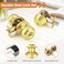 Probrico Keyed Entry Door Knobs Exterior Lockset and Single Cylinder Deadbolt Combination Set for Front Door Polished Brass 2 Pack Keyed Alike