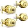 Probrico Keyed Entry Door Knobs Exterior Lockset and Single Cylinder Deadbolt Combination Set for Front Door Polished Brass 2 Pack Keyed Alike
