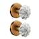 dairazan Rotating Dummy Door Knob Set 2 Pack Clear Crystal Glass Knobs with Antique Amber Brass Rosette Flower Design Decorative NonLatching Handle for Closet French Door Cabinet