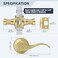 LOQRON Wave Style Door Lever Brushed Gold Passage Door Handle Keyless Gold Interior Lever Reversible for LeftRight Handed for Hallway and Closet with Satin Brass Finish 1 Pack