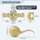 LOQRON Wave Style Door Lever Brushed Gold Passage Door Handle Keyless Gold Interior Lever Reversible for LeftRight Handed for Hallway and Closet with Satin Brass Finish 1 Pack