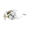 Copper Creek WL2220PS Waverly Door Lever Polished Stainless 1 Count Pack of 1