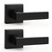 Probrico 2 Pack Dummy Levers in Matte Black FinishHeavy Duty NonTurning Interior Door Handles Reversible Half Dummy Levers for Closet Pantry