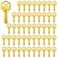 WAH YUE Brass Finish Key Blanks KW1 Uncut Blank Keys Pack of 50 Keys