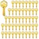 WAH YUE Brass Finish Key Blanks KW1 Uncut Blank Keys Pack of 50 Keys