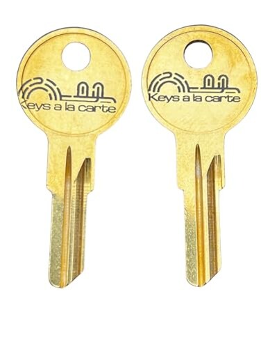 KEYSALACARTE Replacement Keys Cut to Your Code for Office Depot File Cabinet Locks Using Key Codes W601W650W610