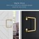 National Hardware N700105 Troy Pull Brushed Gold 8
