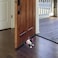 ULTNICE Dog Door Stopper Cartoon Door Wedge NonSlip AntiScratch Floor Protector Safe Finger Guard for Home and Office Use Random Pattern 472X255X393In