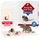 LULUCATCH Mouse Traps 20 Pack PreBaited Sticky Mouse Traps Indoor for Home NonToxic Bulk Sticky Pads Glue Traps for Rats Bugs Spider Mice Cockroach Pet Safe Easy to Use