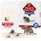 LULUCATCH Mouse Traps 20 Pack PreBaited Sticky Mouse Traps Indoor for Home NonToxic Bulk Sticky Pads Glue Traps for Rats Bugs Spider Mice Cockroach Pet Safe Easy to Use