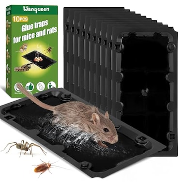 Wanqueen 10 Pack Sticky Mouse Trap Rat Trap Indoor Peanut Taste Pheromone Mouse Traps Indoor for Home Glue Sticky Traps for Mice and Rats SnakeLarge Size