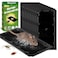 Wanqueen 10 Pack Sticky Mouse Trap Rat Trap Indoor Peanut Taste Pheromone Mouse Traps Indoor for Home Glue Sticky Traps for Mice and Rats SnakeLarge Size
