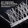 REMIAWY Bird Spikes for Pigeons Small Birds Cat 15 Feet Bird Spikes Stainless Steel Bird Deterrent Spikes 14 Strips