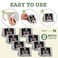 CEDAR HOME Cedar Hyde Pantry Moth Traps 8Pack with Pheromones Long Lasting Safe NonToxic No Insecticides Sticky Glue Pheromone Trap for Kitchen Pantry Moths USA Seller