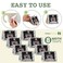 CEDAR HOME Cedar Hyde Pantry Moth Traps 8Pack with Pheromones Long Lasting Safe NonToxic No Insecticides Sticky Glue Pheromone Trap for Kitchen Pantry Moths USA Seller