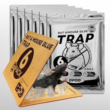 DPOD Glue Mouse Traps Indoor for Home 6 Pack Large Sticky Mouse Traps for Inside House PreBaited Adhesive NonToxic Glue Traps for Mice Rats Snakes Lizard Insect135 x 85