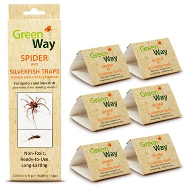 Insects Limited Greenway Silverfish and Spider Traps NonToxic Indoor with HighStrength Glue for Safe Effective Home Protection 1 Pack Includes 6 Traps