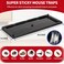 LULUCATCH Mouse Traps 12 Pack Large Glue Traps Mouse Traps Indoor for Home PreBaited NonToxic Bulk Glue Boards for Mice Snakes Rat Lizard Cockroach Spiders Pet Safe Easy to Use