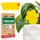 Super Ninja Fungus Gnat Traps 30 Pack Highly Effective Gnat Traps for House Indoor Yellow Sticky Trap for Plants NonToxic NatureFriendly Up to 3 Months