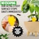 Super Ninja Fungus Gnat Traps 30 Pack Highly Effective Gnat Traps for House Indoor Yellow Sticky Trap for Plants NonToxic NatureFriendly Up to 3 Months