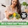 Super Ninja Fungus Gnat Traps 30 Pack Highly Effective Gnat Traps for House Indoor Yellow Sticky Trap for Plants NonToxic NatureFriendly Up to 3 Months