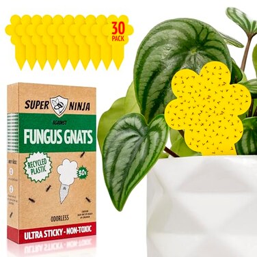 Super Ninja Fungus Gnat Traps 30 Pack Highly Effective Gnat Traps for House Indoor Yellow Sticky Trap for Plants NonToxic NatureFriendly Up to 3 Months