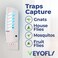 VEYOFLY Fruit Fly Traps for Indoors 4 Device 12 Refills Gnat Trap Indoor Plug in Bug Traps Flying Insect Trap Gnat Traps for House Indoor Fly Trap Indoor for Home Bug Light Gnats Catcher
