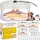 Kittmip 4 Packs Flea Traps for Inside Your Home with 8 Sticky Disc 12 Bulbs 4 Electric Wires Flea Killer Indoor Bed Bug Light Trap for Home Indoor Safe to PetsWhite Purple