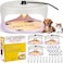 Kittmip 4 Packs Flea Traps for Inside Your Home with 8 Sticky Disc 12 Bulbs 4 Electric Wires Flea Killer Indoor Bed Bug Light Trap for Home Indoor Safe to PetsWhite Purple