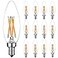 LiteHistory E12 led Bulb Dimmable 6W Equal 60 Watt LED Light Bulbs 2700K AC120V Edison Bulb B10 B11 Candelabra Bulbs for Chandelier and Ceiling Fan Light Bulbs 600LM e12 Bulb 12Pack
