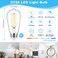 ASOMST 4Pack Vintage Edison LED Bulbs 60W Equivalent 850LM 6W Edison Light Bulb Daylight White 5000K ST58 LED Filament Bulb E26 Base NonDimmable