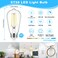 ASOMST 4Pack Vintage Edison LED Bulbs 60W Equivalent 850LM 6W Edison Light Bulb Daylight White 5000K ST58 LED Filament Bulb E26 Base NonDimmable
