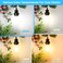 ASOMST 4Pack Vintage Edison LED Bulbs 60W Equivalent 850LM 6W Edison Light Bulb Daylight White 5000K ST58 LED Filament Bulb E26 Base NonDimmable